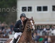 Clayton Mr Darcy TosTour 2013- S5 7263 : Arezzo Equestrian Centre, Clayton Joseph, Mr Darcy, Toscana Tour 2013, foto di Stefano Secchi ©